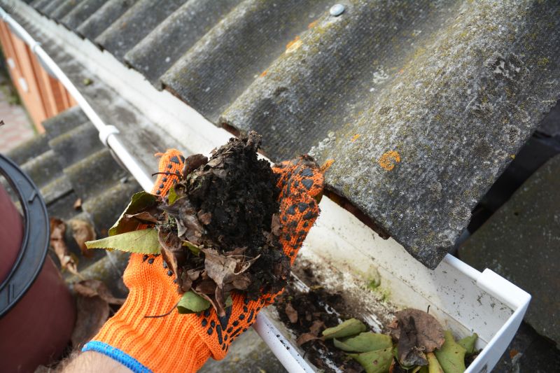 Gutter Inspection and Clearing