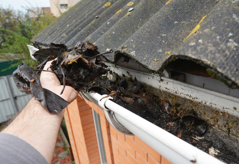 Debris Removal from Gutters