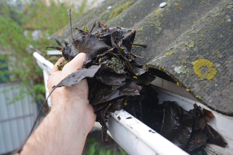 Clean Gutters, Healthy Home