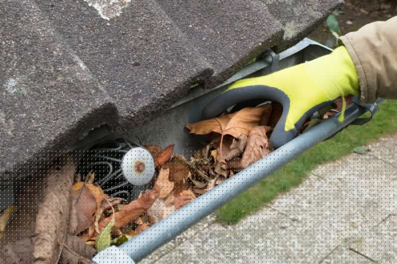 Gutter Leaf Clearing