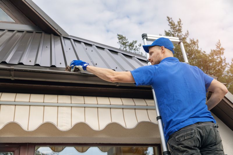 Rain Gutter Cleaning Service