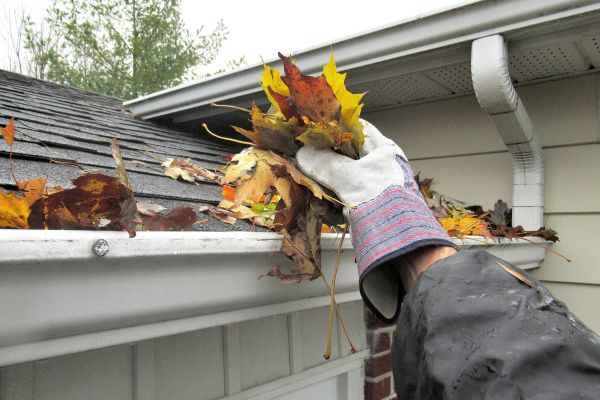 Leaf Gutter Cleaning in Aurora