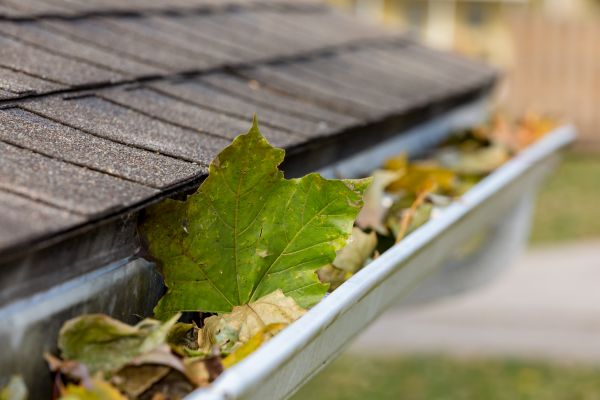 Commercial Downspout Cleaning in Aurora