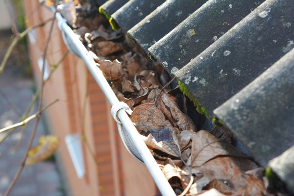 Cost of Home Gutter Cleaning in Aurora