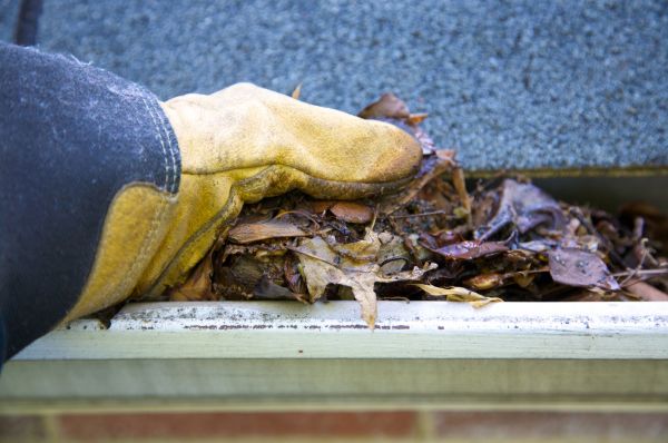 Cost of Jammed Gutter Cleaning in Aurora