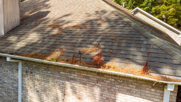 Cost of Gutter Pine Needle Removal in Aurora